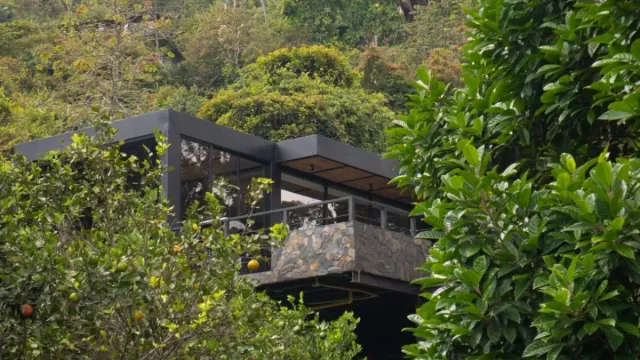 Cabaña moderna tipo glamping Santander rodeada de vegetación, con terraza elevada y vista natural.