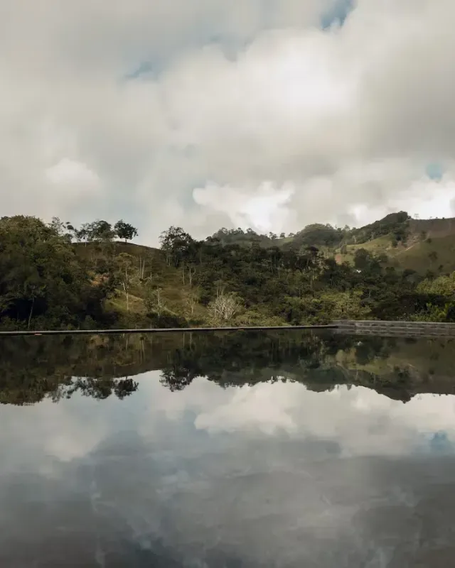 Cabaña Mirador del Bosque