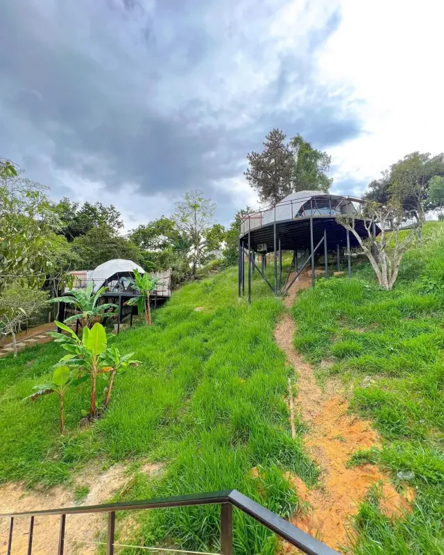 Domo glamping rodeado de naturaleza con terraza elevada y entorno verde, ideal para una experiencia glamping tranquila y privada.
