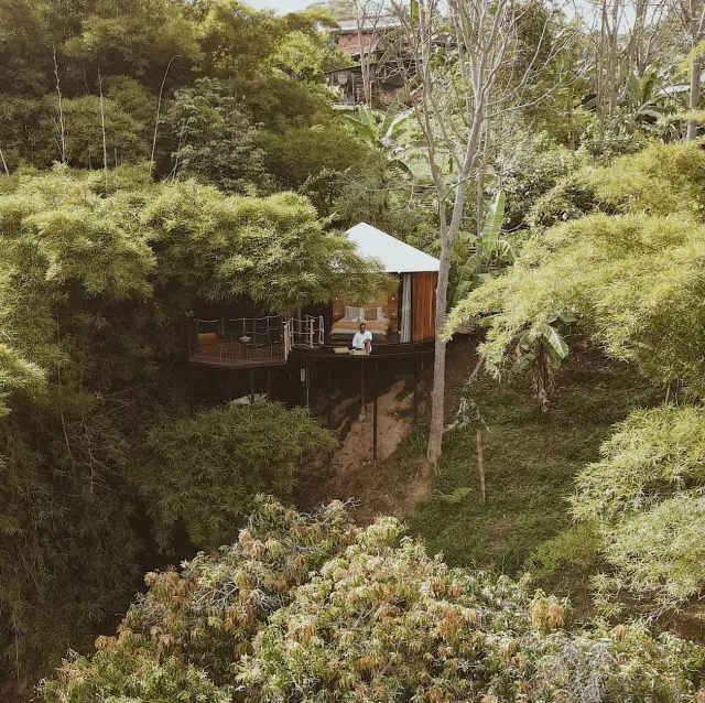 Cabaña elevada entre árboles con terraza panorámica en glamping natural de Bucaramanga.