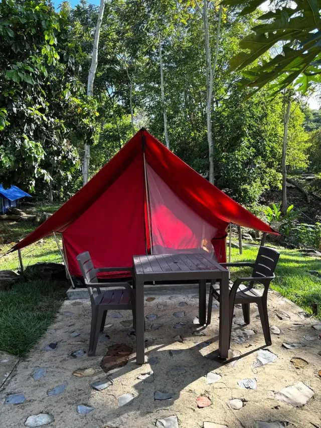 Carpa roja de glamping ubicada entre árboles tropicales con mesa exterior de camping.