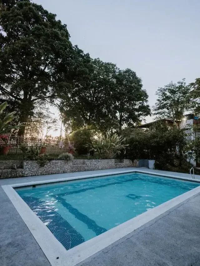 Piscina rodeada de árboles y vegetación en glamping de Bucaramanga al atardecer.